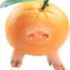 piggyoranges
